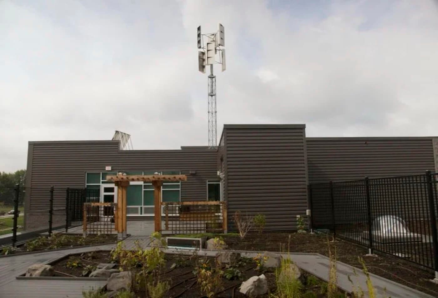 Dr. David Suzuki Public School